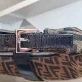 Fendi Zucca Croissant Bag